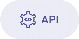 API configuration settings icon